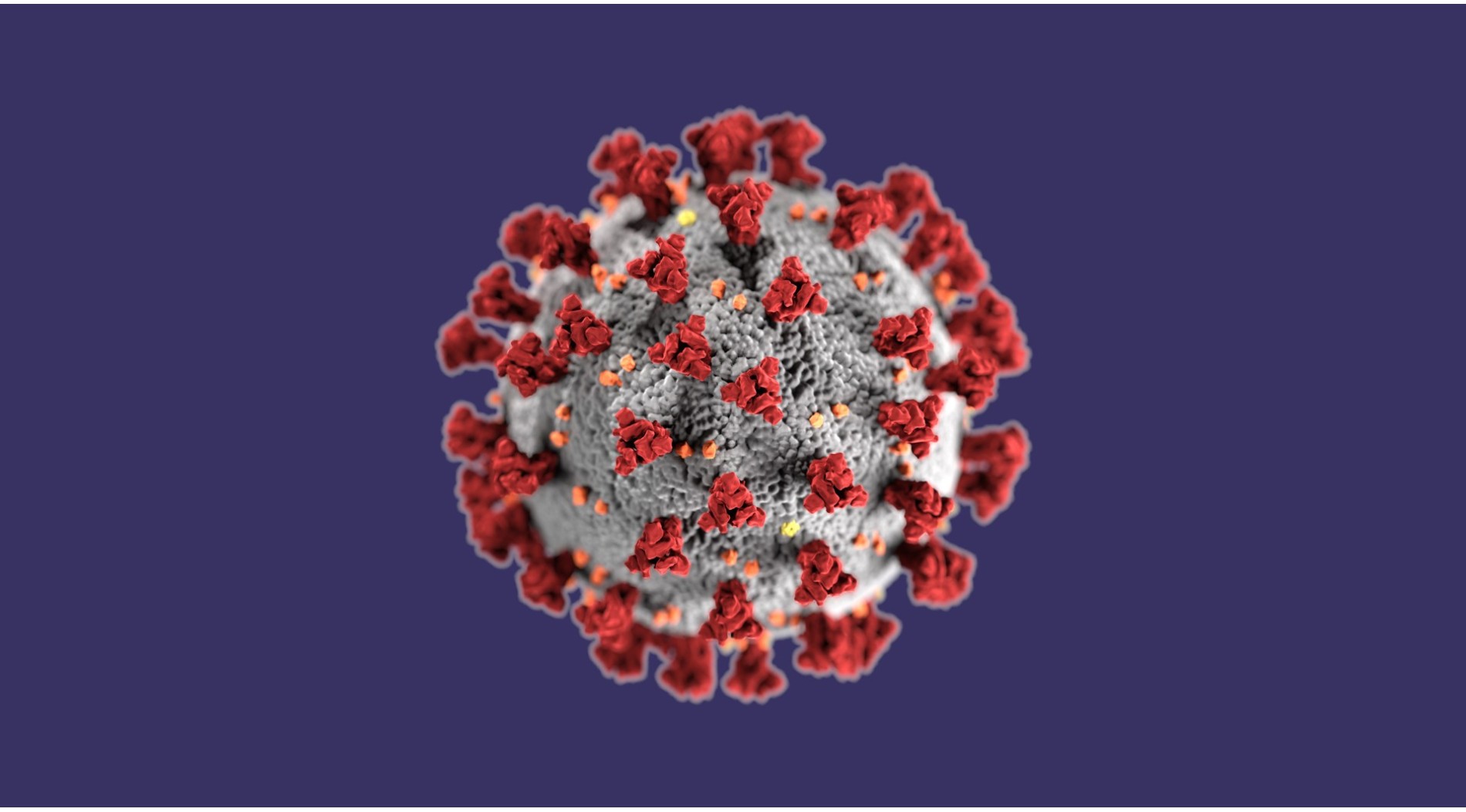 Coronavirus e sesso: creata l'unita operativa per l'educazione sessuale post Covid